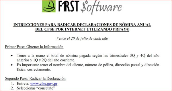 Instrucciones-Declaración de Nómina Anual del CFSE Online