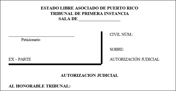 Autorización Judicial - Petición