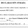 Declaración Jurada - Patria Potestad y Custodia Temporera - Image 2